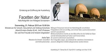Fotoausstellung im Umweltministerium des Landes Brandenburg: Facetten der Natur